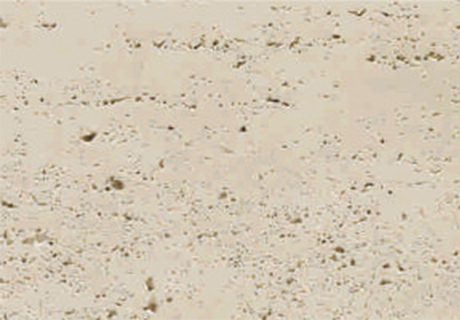 2023.5.20_13.39.27_5655