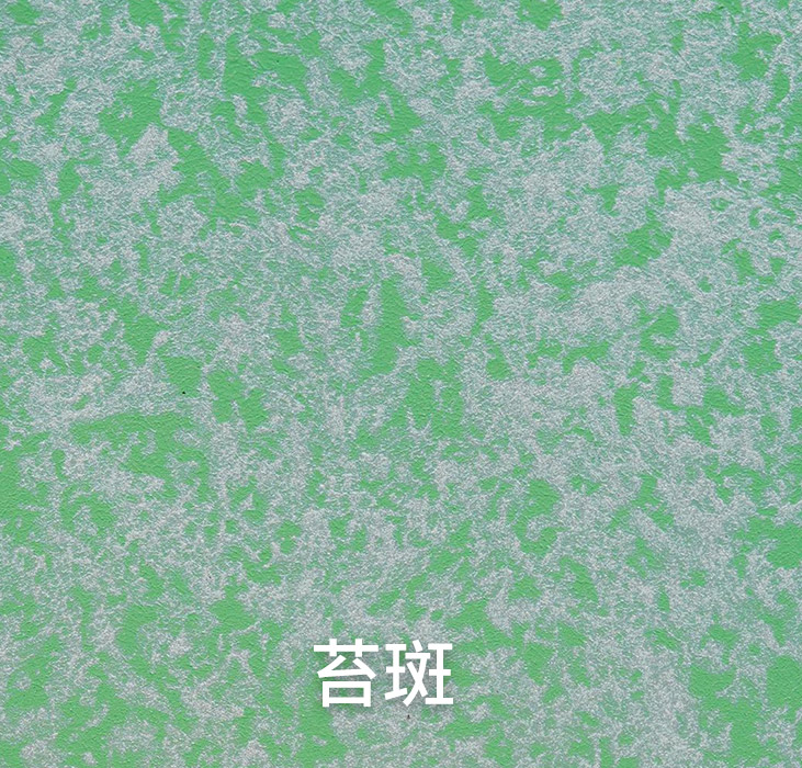 2024.7.2_11.19.57_7815