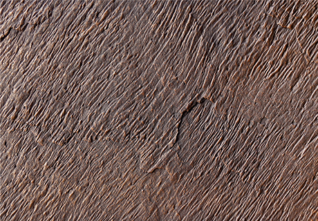 宝马bm1122线路顶级(中国集团)官方网站